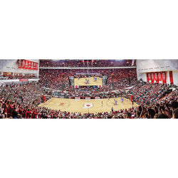 Indiana Hoosiers - 1000 Piece Panoramic Jigsaw Puzzle (ONLINE ORDER ONLY)