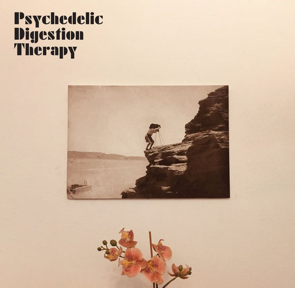 Psychedelic Digestion Therapy [Vinyl] (ONLINE ORDER ONLY)