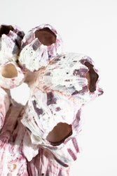 Purple Barnacle Specimen (ONLINE ORDER ONLY)