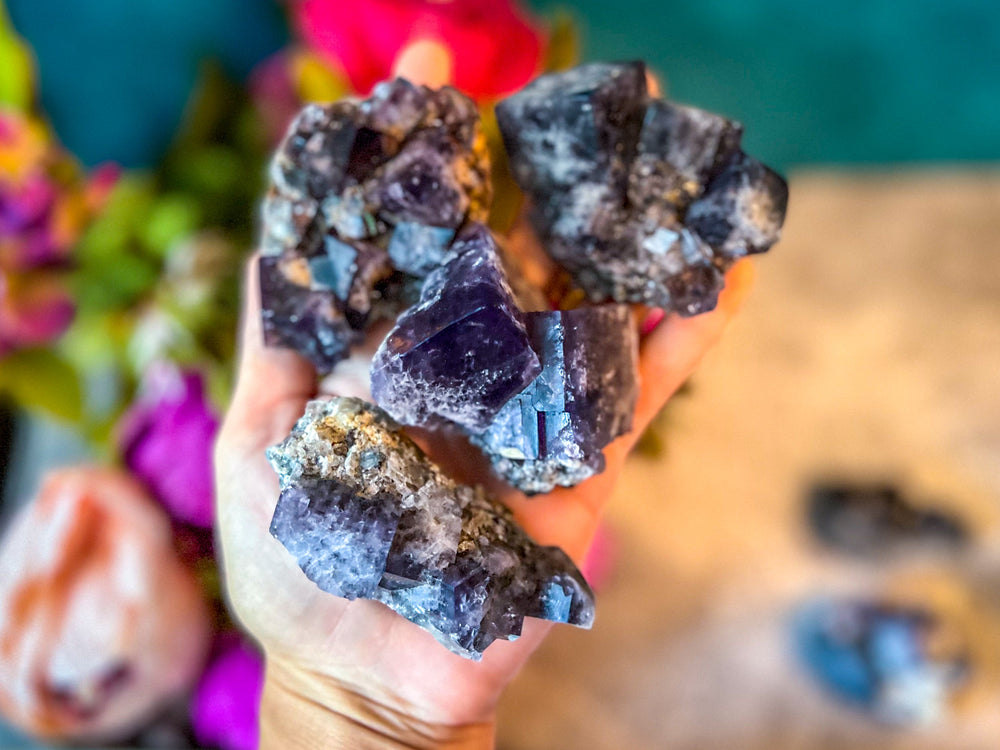 Rare Purple Rain Pocket Fluorite Clusters, Lady Annanella Mine, CLOSED Mine!, Daylight Fluorescent (ONLINE ORDER ONLY)