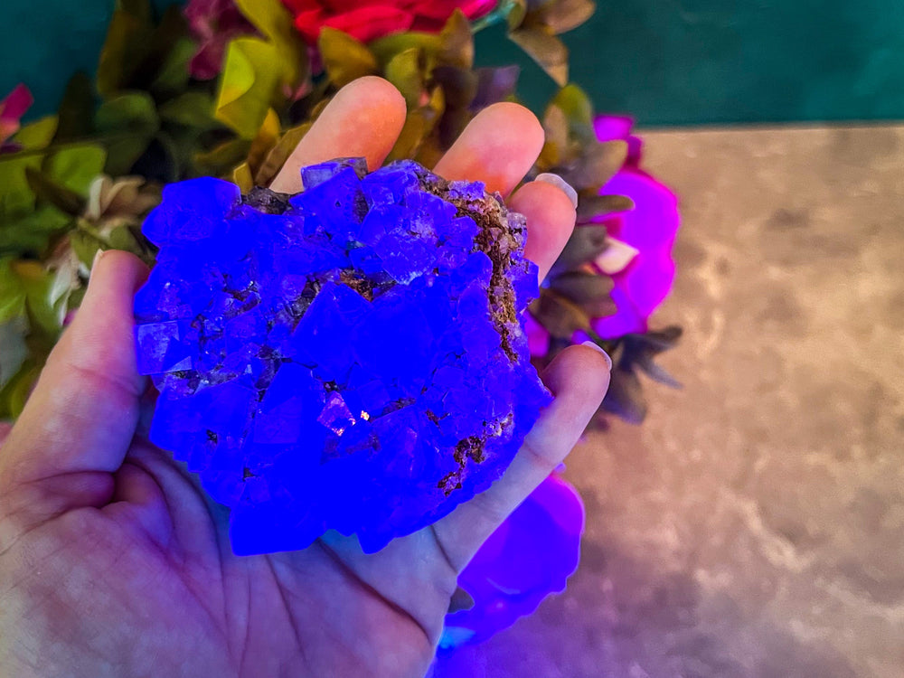 Rare Purple Rain Pocket Fluorite Clusters, Lady Annanella Mine, CLOSED Mine!, Daylight Fluorescent (ONLINE ORDER ONLY)