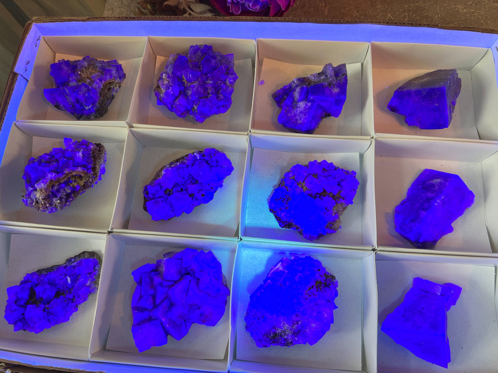 Rare Purple Rain Pocket Fluorite Clusters, Lady Annanella Mine, CLOSED Mine!, Daylight Fluorescent (ONLINE ORDER ONLY)