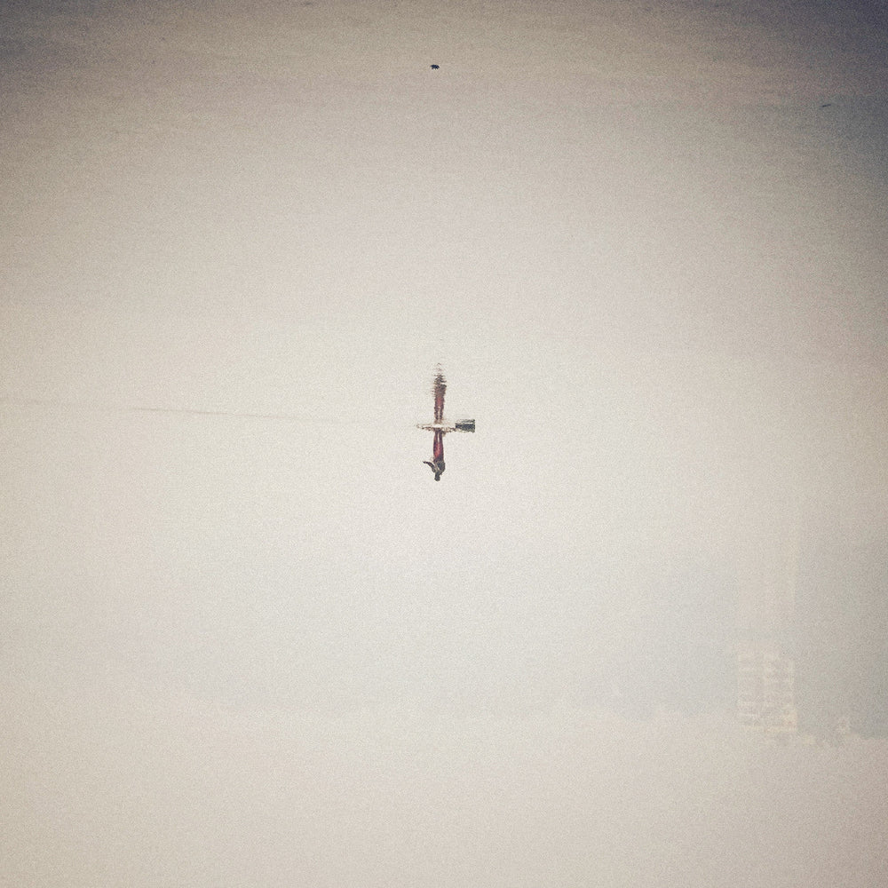 Endling (Translucent Vinyl) [Vinyl]