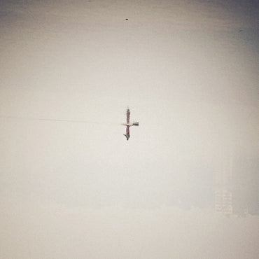 Endling (Translucent Vinyl) [Vinyl]