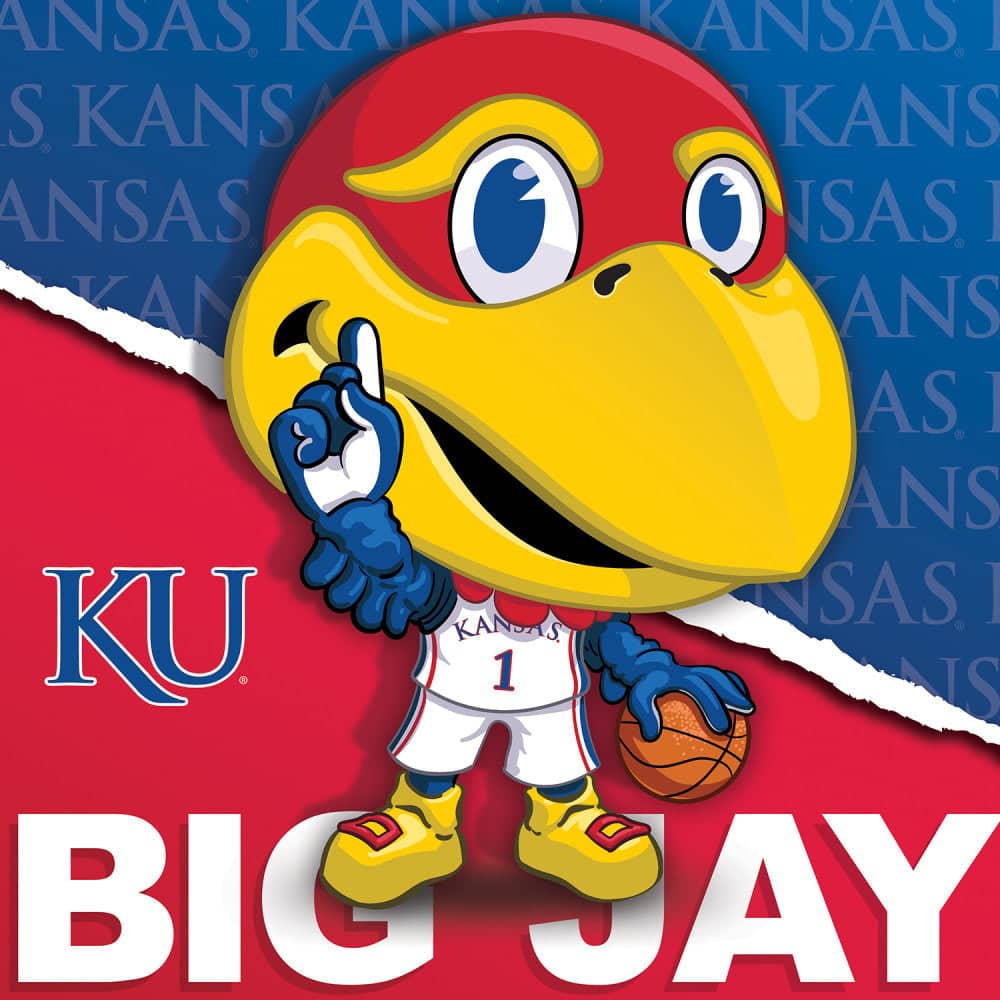 Kansas Jayhawks - NCAA Mascot 100 Piece Jigsaw Puzzle (ONLINE ORDER ONLY)