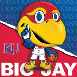 Kansas Jayhawks - NCAA Mascot 100 Piece Jigsaw Puzzle (ONLINE ORDER ONLY)