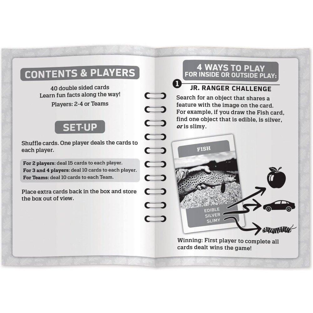 Jr Ranger - Scavenger Hunt Card Game (ONLINE ORDER ONLY)