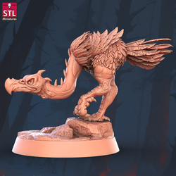 3D Printed STL Miniatures Acrisbird Set 28 - 32mm War Gaming D&D (Online Only)