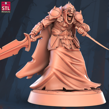 3D Printed STL Miniatures Shadow Knight 28 - 32mm War Gaming D&D (Online Only)
