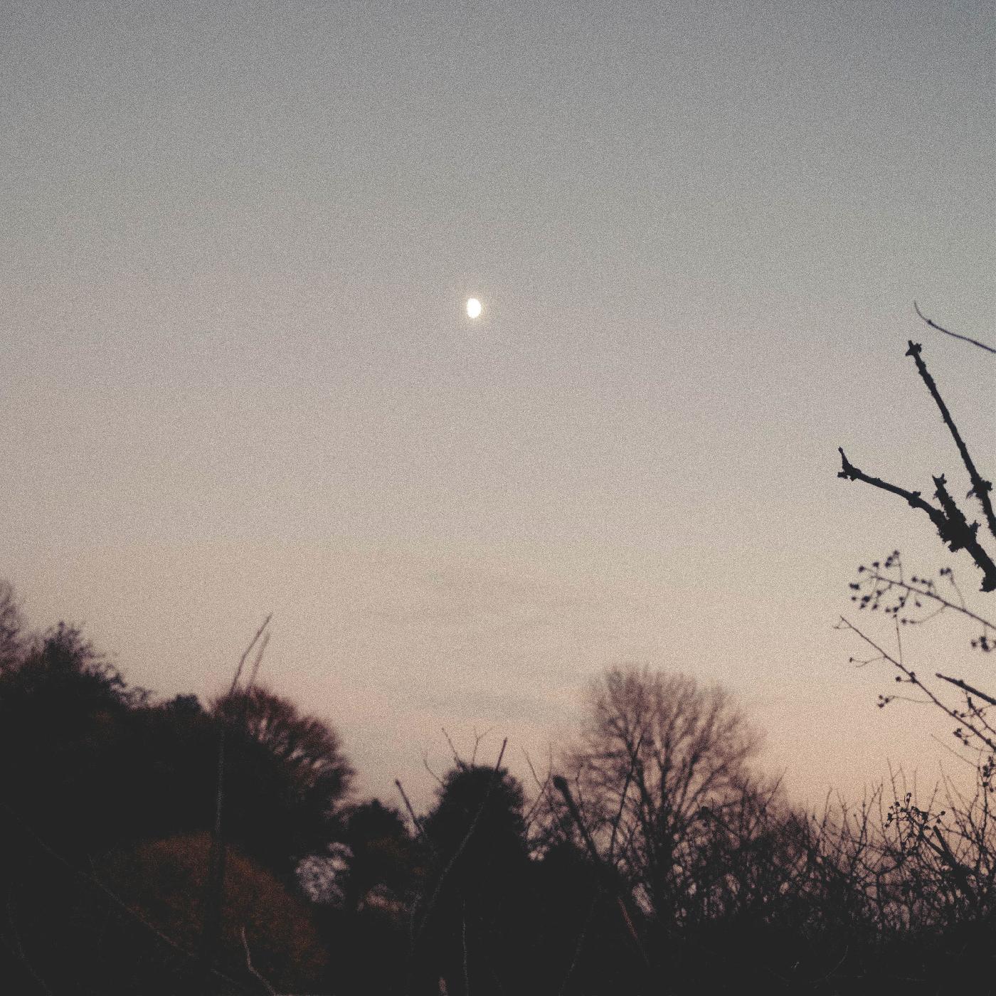 Rachel Sermanni - Dreamer Awake [Vinyl] (ONLINE ORDER ONLY)