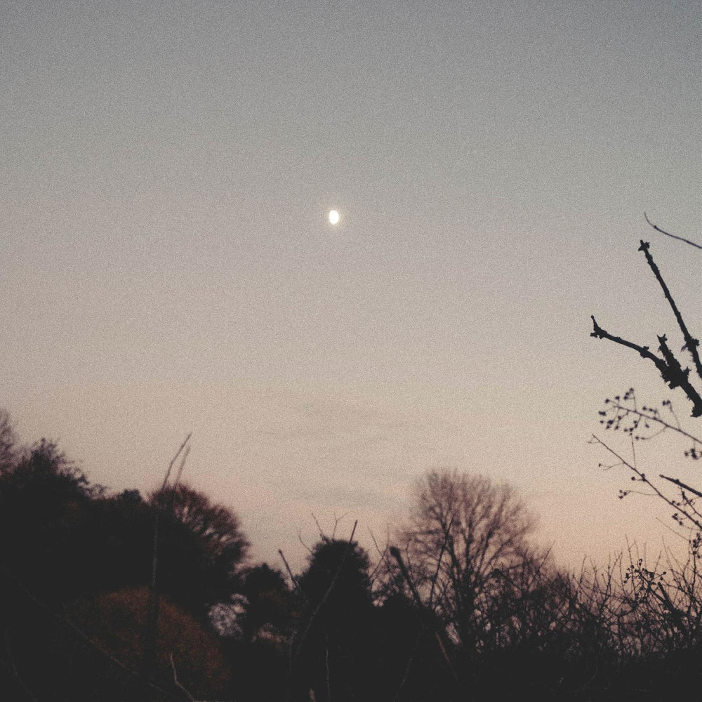 Rachel Sermanni - Dreamer Awake [Vinyl] (ONLINE ORDER ONLY)