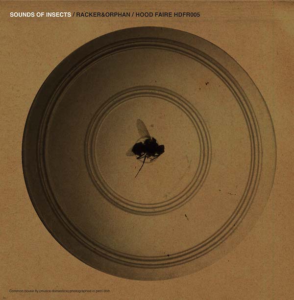 RACKER & ORPHAN - Sounds of Insects [Vinyl]