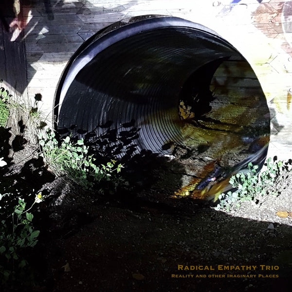 Reality and Other Imaginary Places [CD]