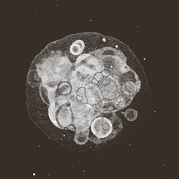 Rafael Toral - Moon Field [CD] (ONLINE ORDER ONLY)