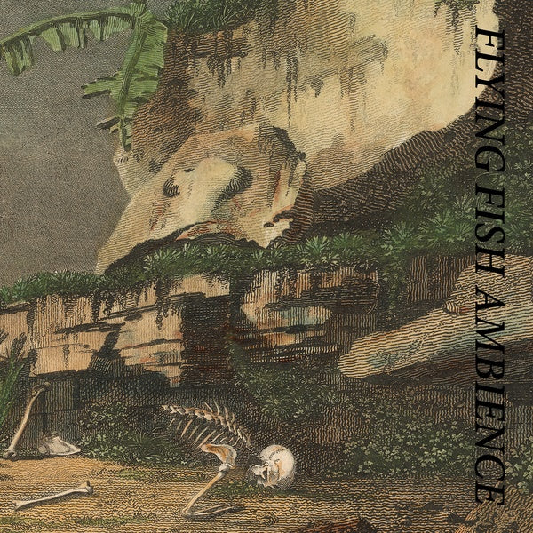 Flying Fish Ambience [CD] (ONLINE ORDER ONLY)