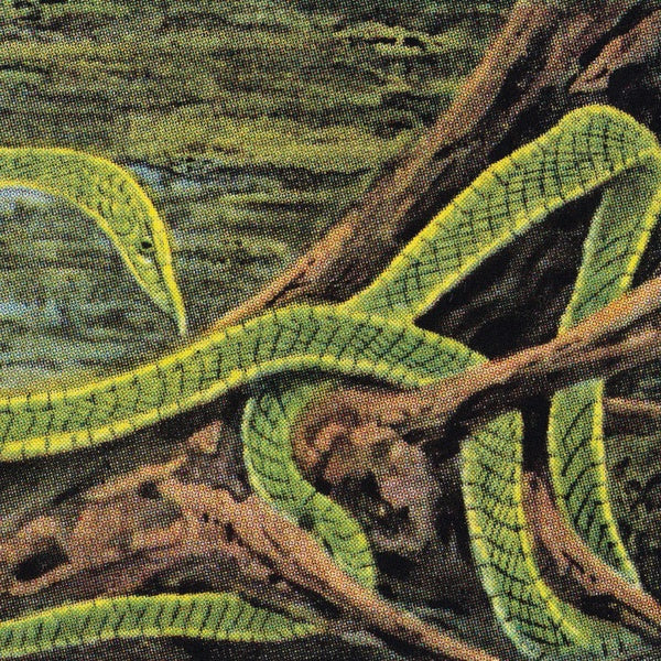 Green Graves [Vinyl]