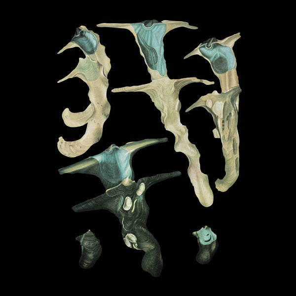 Jellyfish Reproduce Black Magic [Vinyl]