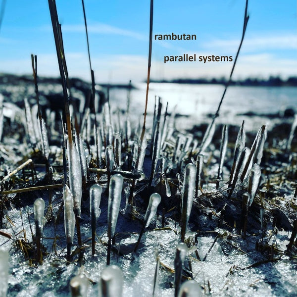 Parallel Systems [CD]