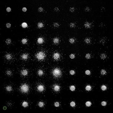 RAYON - A Beat Of Silence [Vinyl] (ONLINE ORDER ONLY)