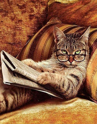 Reading Cat (ONLINE ORDER ONLY)