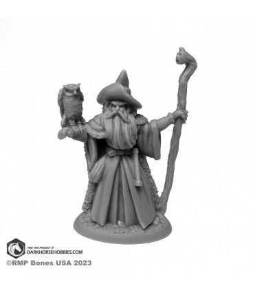 Reaper Legends: Amathor the Arch-Mage (ONLINE ORDER ONLY)