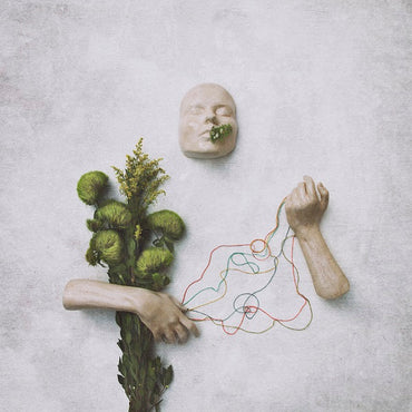 red steppes - A Mouth May Grow [Vinyl] (ONLINE ORDER ONLY)