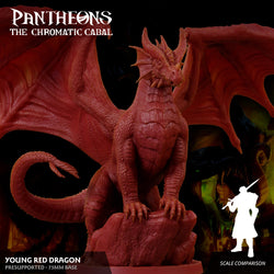 3D Printed Sordane Publishing Young Red Dragon Pantheons The Chromatic Cabal 28 32mm D&D (Online Only)