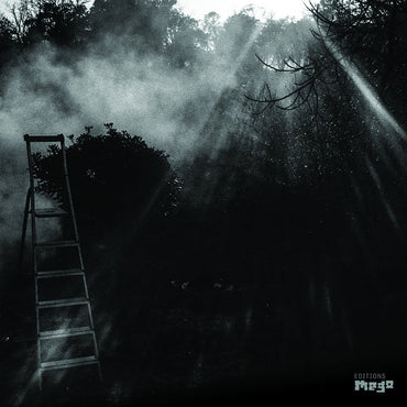 REINHOLD FRIEDL & ERYCK ABECASSIS - Animal Electrique [Vinyl] (ONLINE ORDER ONLY)