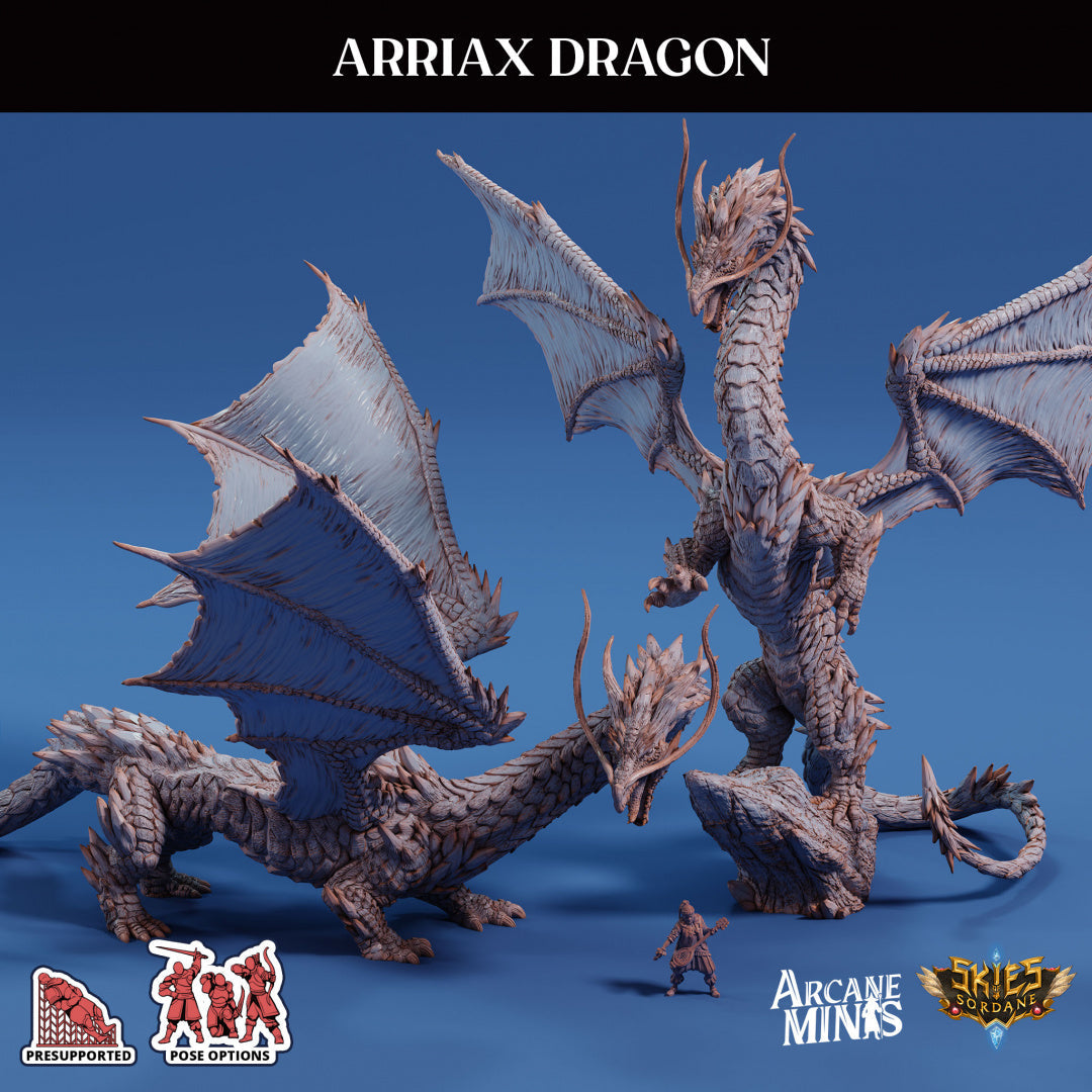 3D Printed Sordane Publishing Arriax Dragon Mighty Skies A Sordane Stories Set 28 32mm D&D (Online Only)
