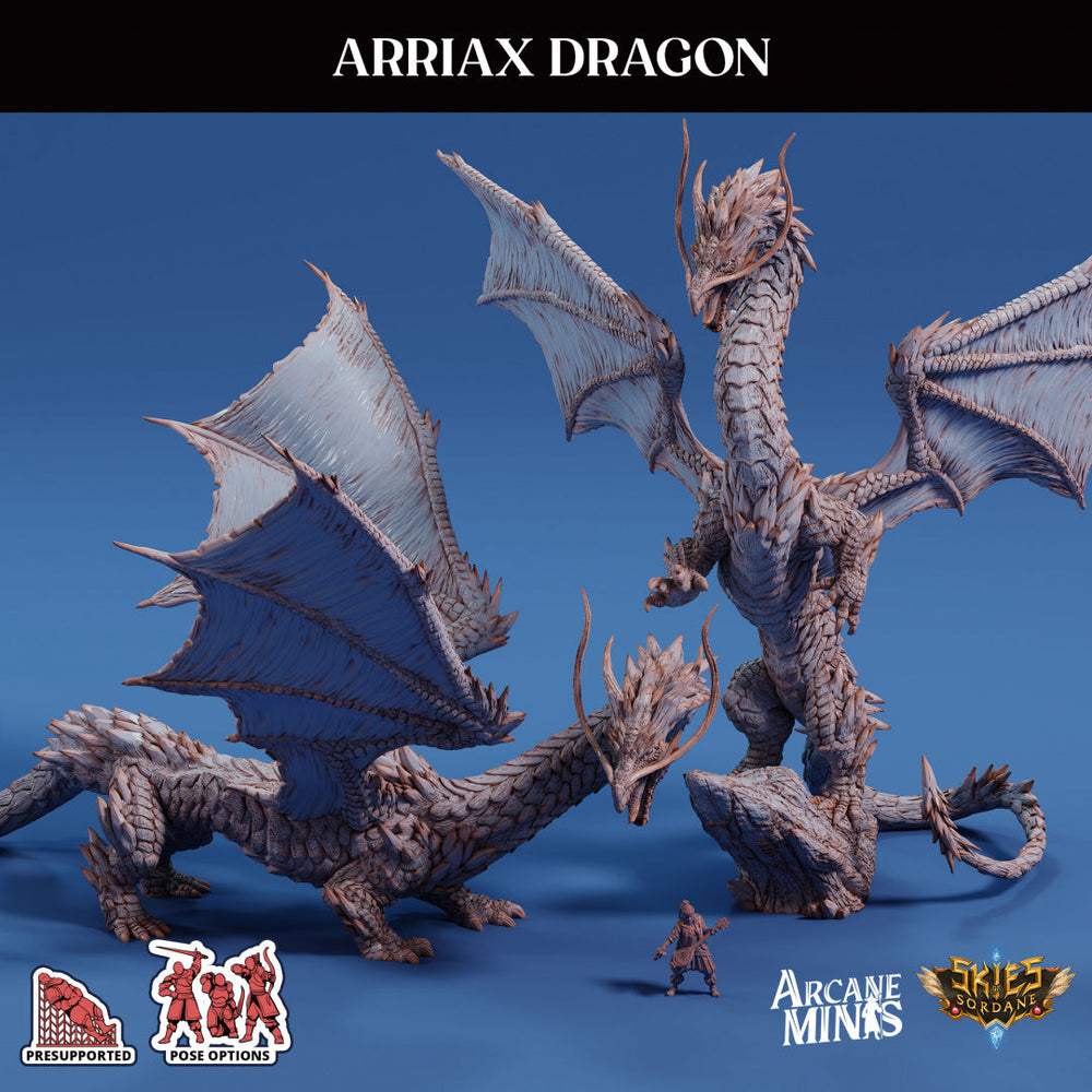 3D Printed Sordane Publishing Arriax Dragon Mighty Skies A Sordane Stories Set 28 32mm D&D (Online Only)