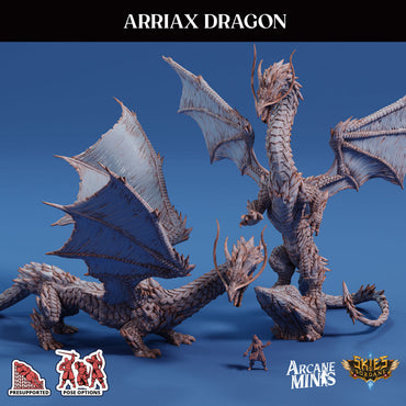 3D Printed Sordane Publishing Arriax Dragon Mighty Skies A Sordane Stories Set 28 32mm D&D (Online Only)