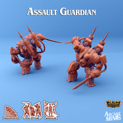 3D Printed Sordane Publishing Arcane Minis Shard Guardians Assault Set Shard Guardian Set 28 32mm D&D (Online Only)
