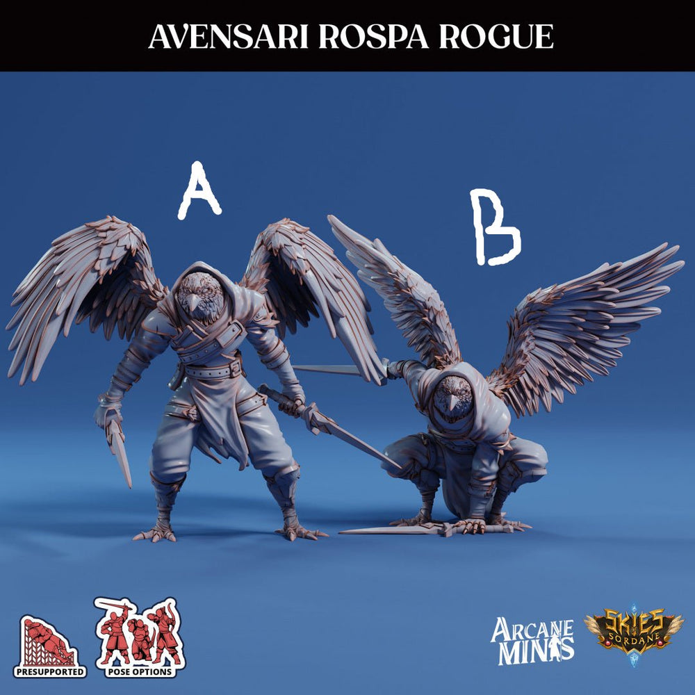 3D Printed Sordane Publishing Arcane Minis Avensari Rospa Rogue Mighty Skies A Sordane Stories Set 28 32mm D&D (Online Only)