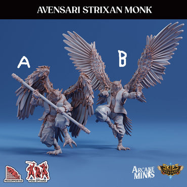 3D Printed Sordane Publishing Arcane Minis Avensari Strixan Monk Mighty Skies A Sordane Stories Set 28 32mm D&D (Online Only)