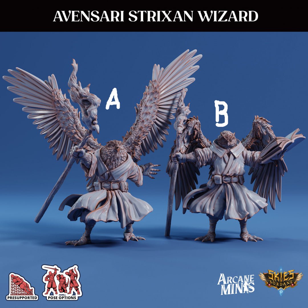 3D Printed Sordane Publishing Arcane Minis Avensari Strixan Wizard Mighty Skies A Sordane Stories Set 28 32mm D&D (Online Only)