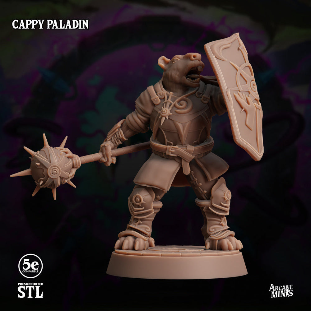 3D Printed Sordane Publishing Cappy Paladin 28 32mm D&D (Online Only)