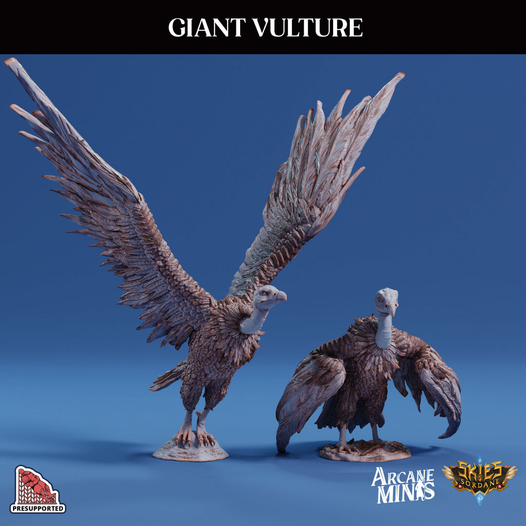 3D Printed Sordane Publishing Arcane Minis Giant Vulture Cult of Umiera 28 32mm D&D (Online Only)