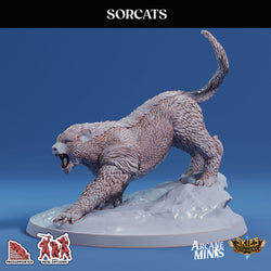 3D Printed Sordane Publishing Sorcats 28 32mm D&D (Online Only)
