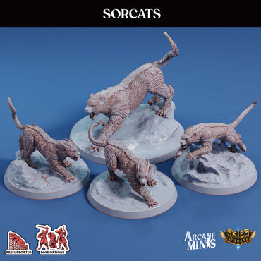 3D Printed Sordane Publishing Sorcats 28 32mm D&D (Online Only)