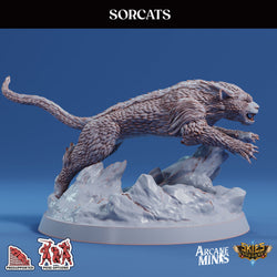 3D Printed Sordane Publishing Sorcats 28 32mm D&D (Online Only)