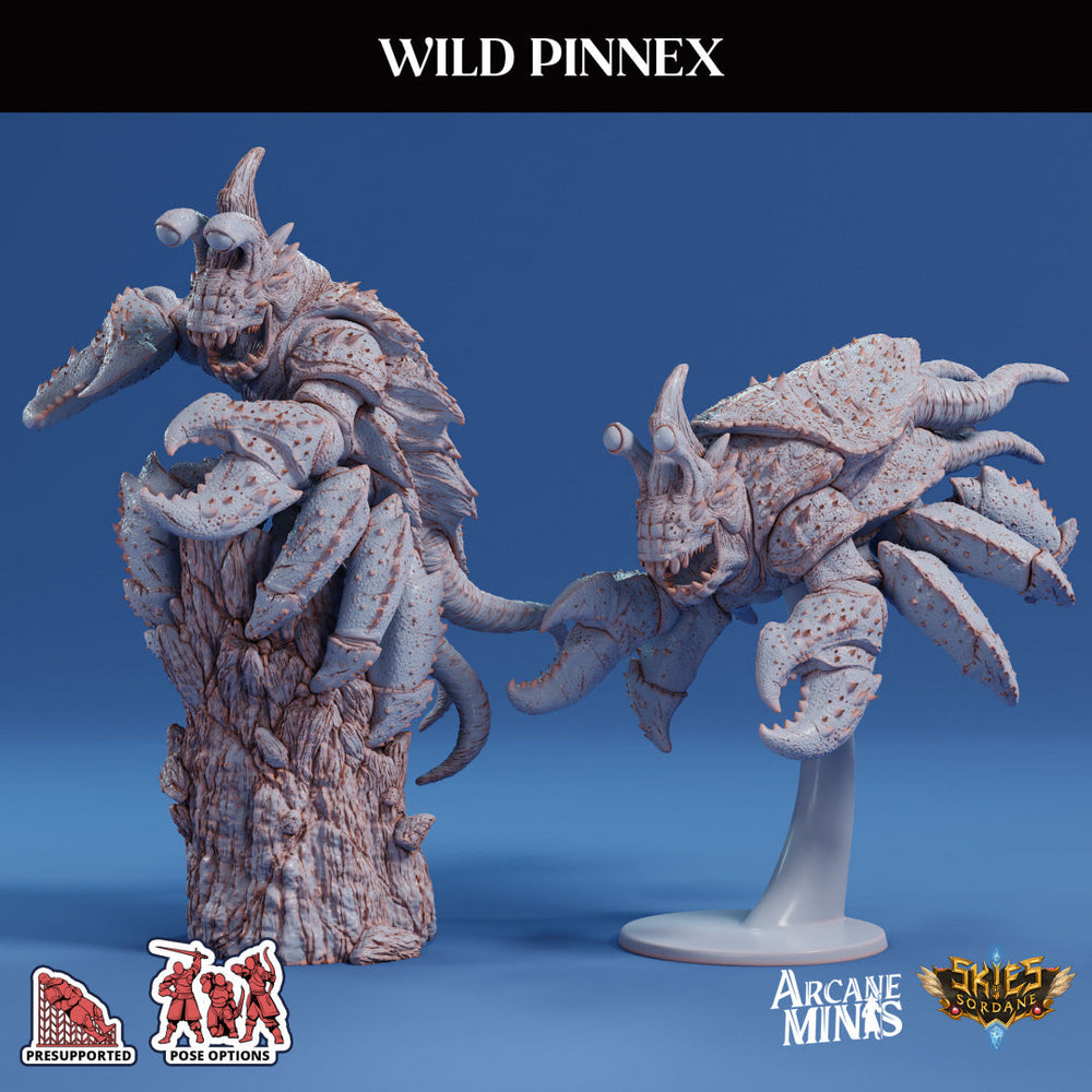 3D Printed Sordane Publishing Arcane Minis Wild Pinnex Mighty Skies A Sordane Stories Set 28 32mm D&D (Online Only)