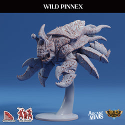 3D Printed Sordane Publishing Arcane Minis Wild Pinnex Mighty Skies A Sordane Stories Set 28 32mm D&D (Online Only)