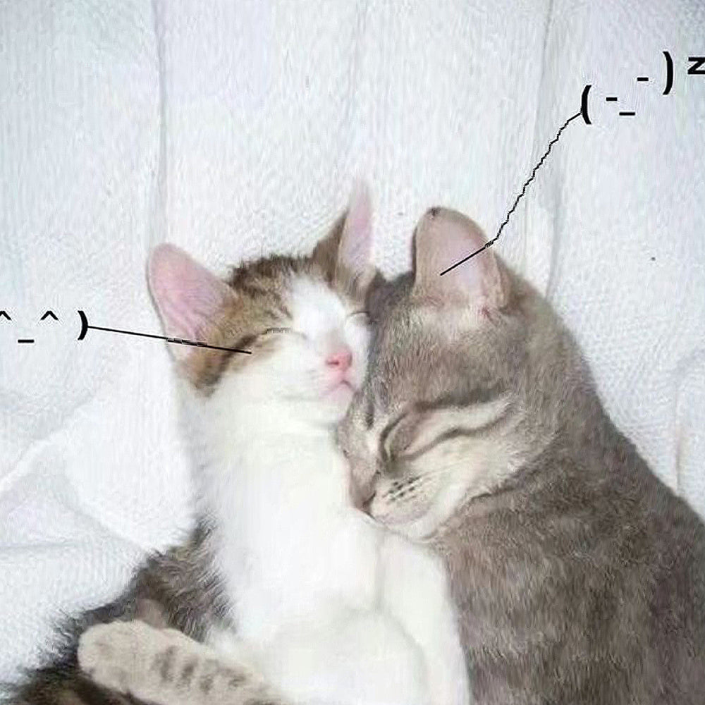 I Love You So!