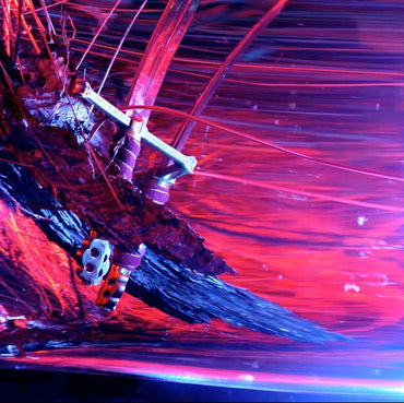 Rhyton - Navigating by Starlight [Vinyl] (ONLINE ORDER ONLY)