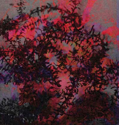 If I Love You [Vinyl] (ONLINE ORDER ONLY)