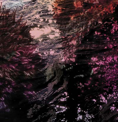 RICARDO TOBAR - Treillis [Vinyl] (ONLINE ORDER ONLY)