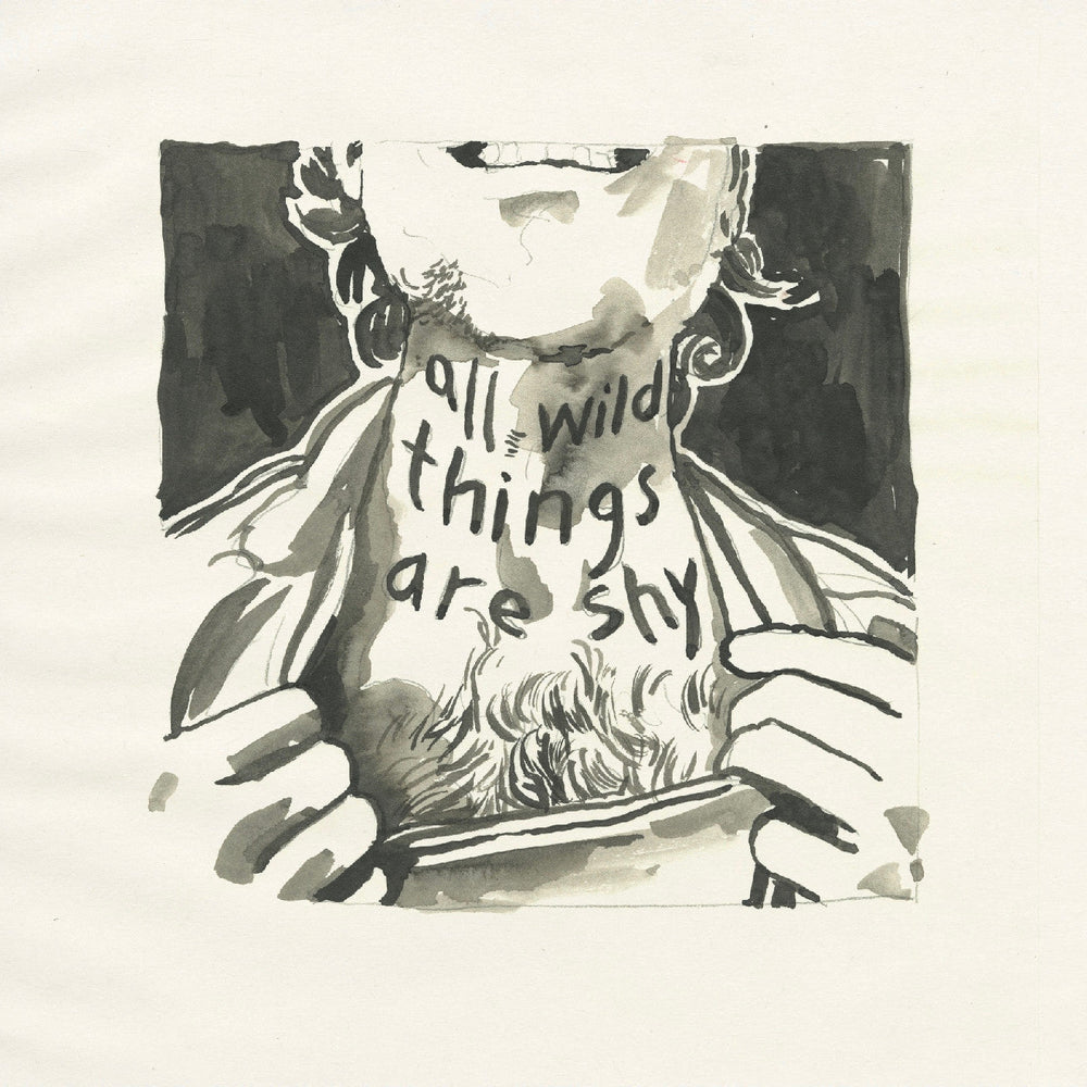 All Wild Things Are Shy [CD]