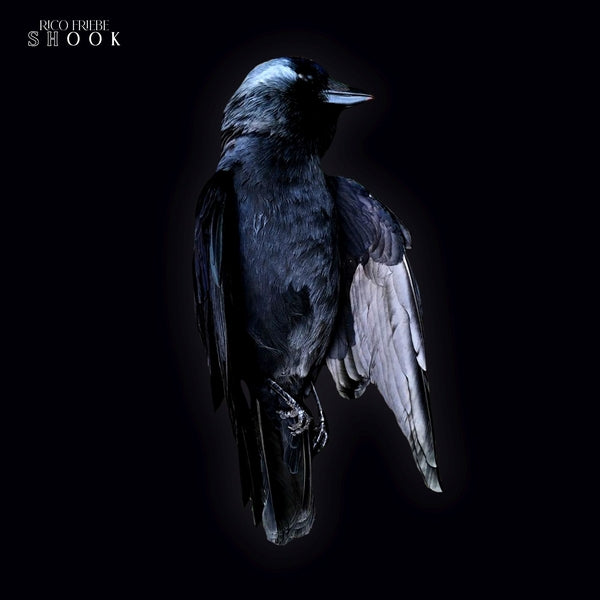 Shook [Vinyl]