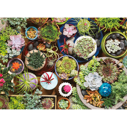 Puzzle: Succulents (ONLINE ORDER ONLY)