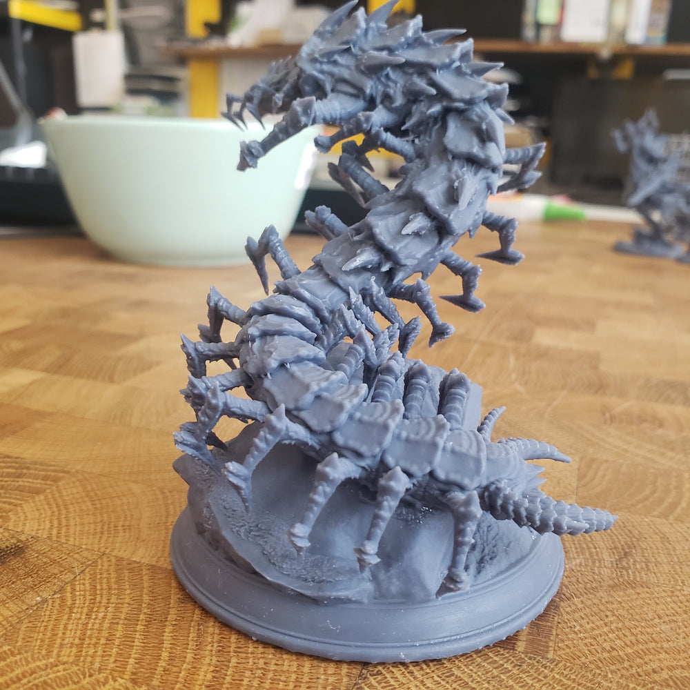 Conrad, Monarch of Many Faces (Big Fey Centipede) (Online Order Only)